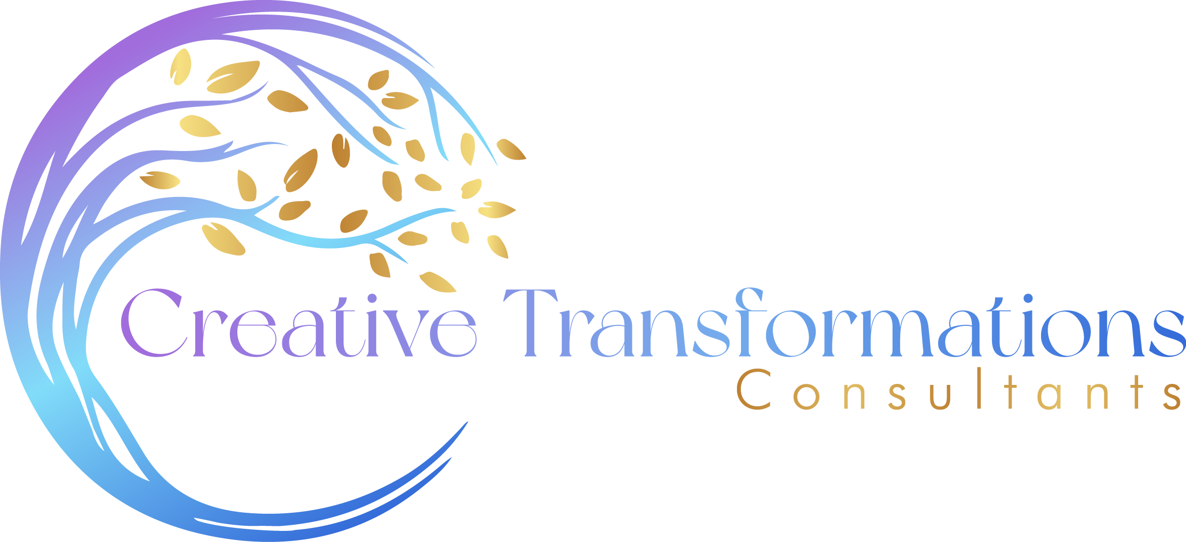 Creative Transformations Consultants